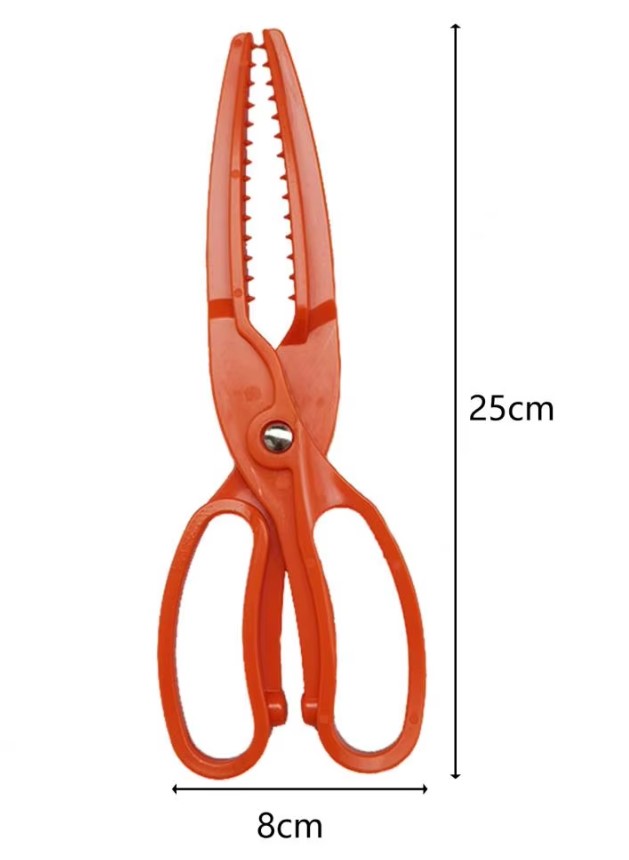 Pega Peixe Aranha pega peixe aranhas